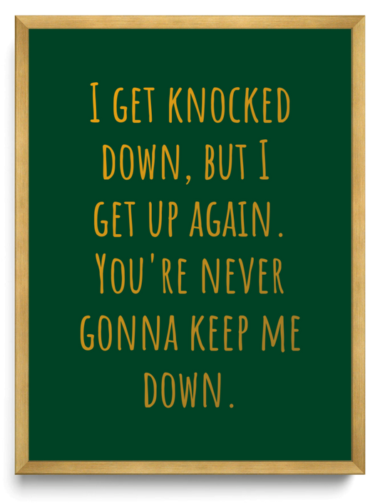I get knocked down, but I get up again. You're never gonna keep me down.
