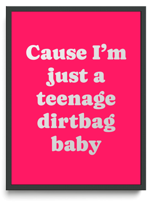 Cause Im just a teenage dirtbag baby framed typographic print